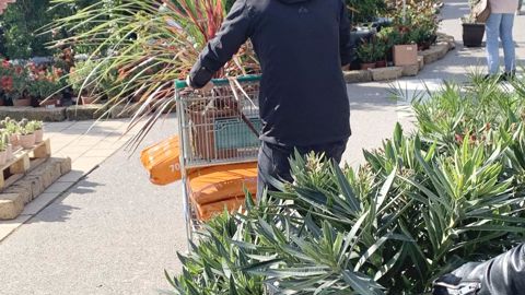 Depuis plusieurs années, la courbe de la demande de nombreux végétaux, en particulier en pépinière, est supérieure à celle de l’offre, provoquant une tension sur le marché. Photos P. FAYOLLE